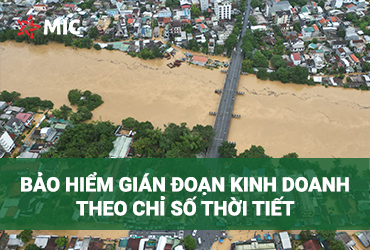 BẢO HIỂM GIÁN ĐOẠN KINH DOANH THEO CHỈ SỐ THỜI TIẾT